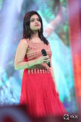 Bruce Lee Movie Audio Launch